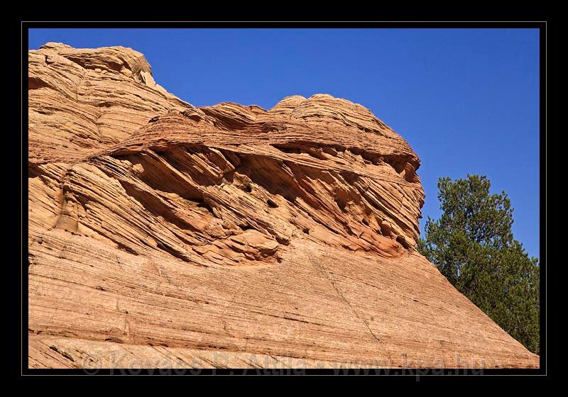 Colorado River 018.jpg